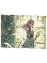 南梦宫限定 亚克力板