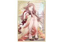 良辰共此曲 亚克力色纸